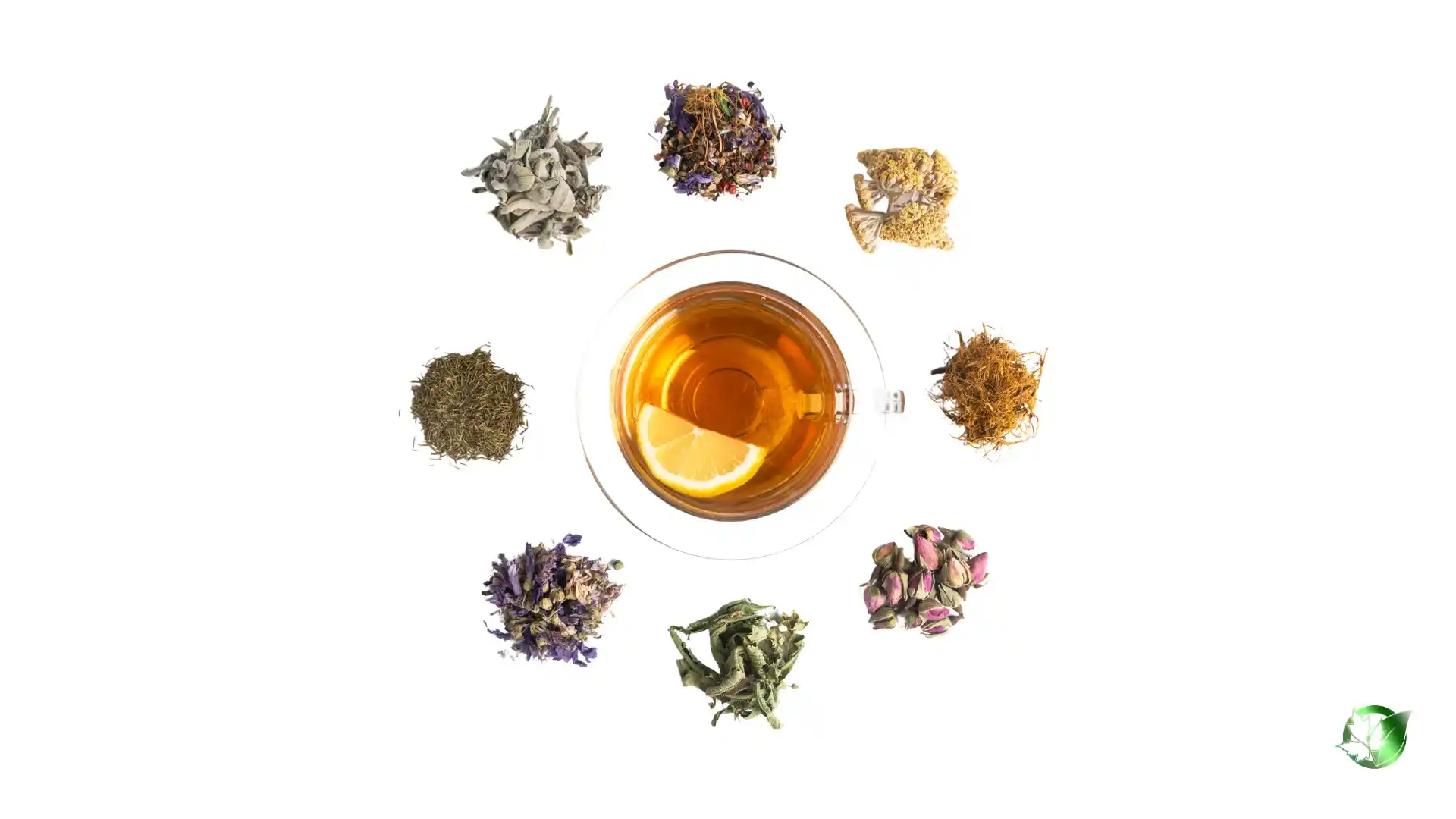 Herbal Distillates1.webp